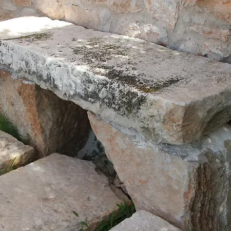 Besida *